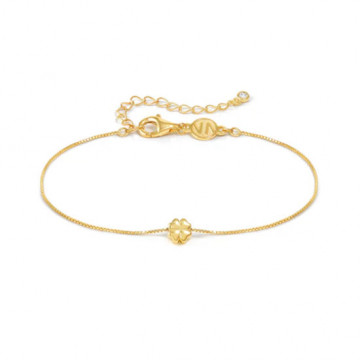 NOMINATION BRACCIALE...